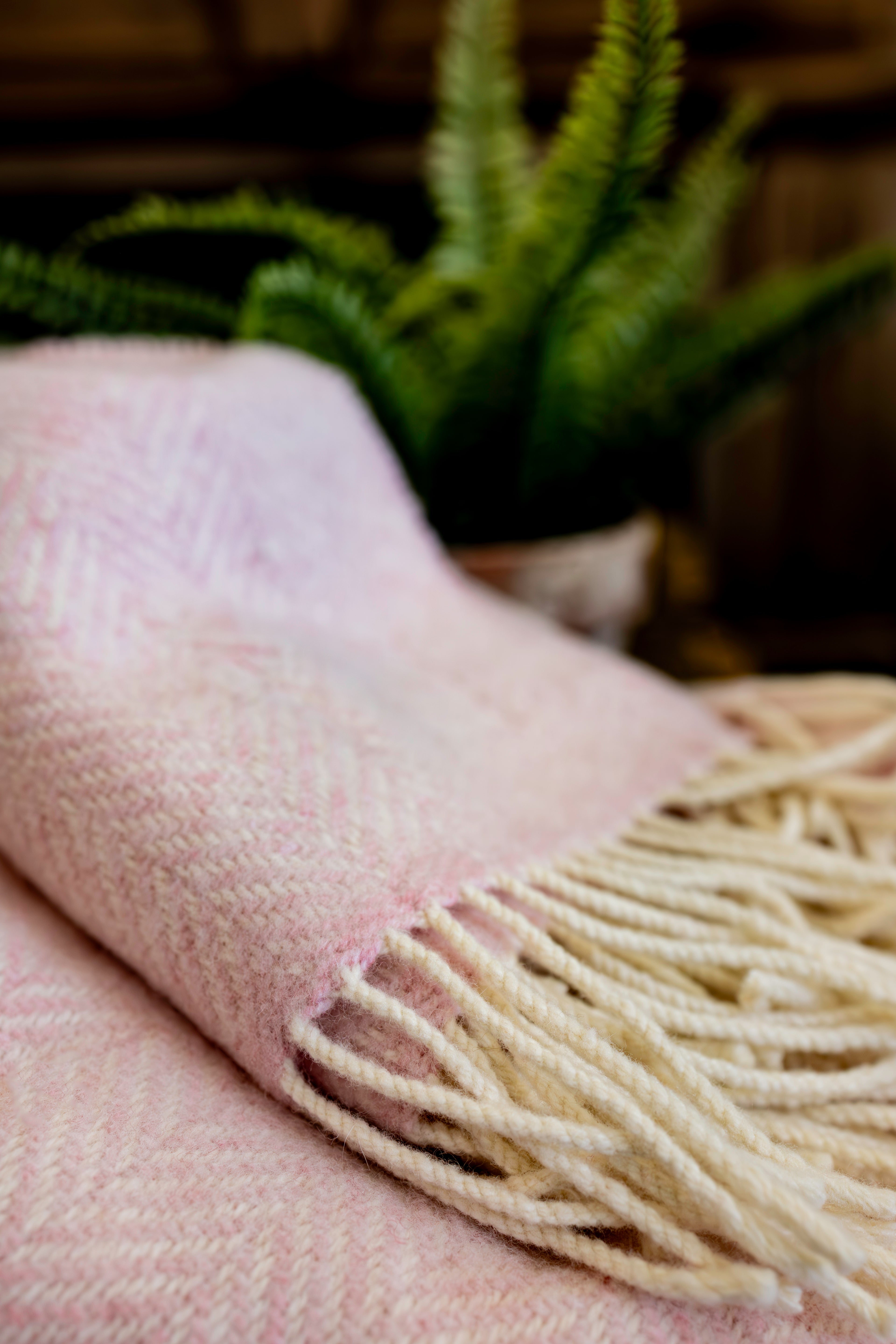 Merino Wool & Cashmere Throw Blanket - Álainn Yew Pink