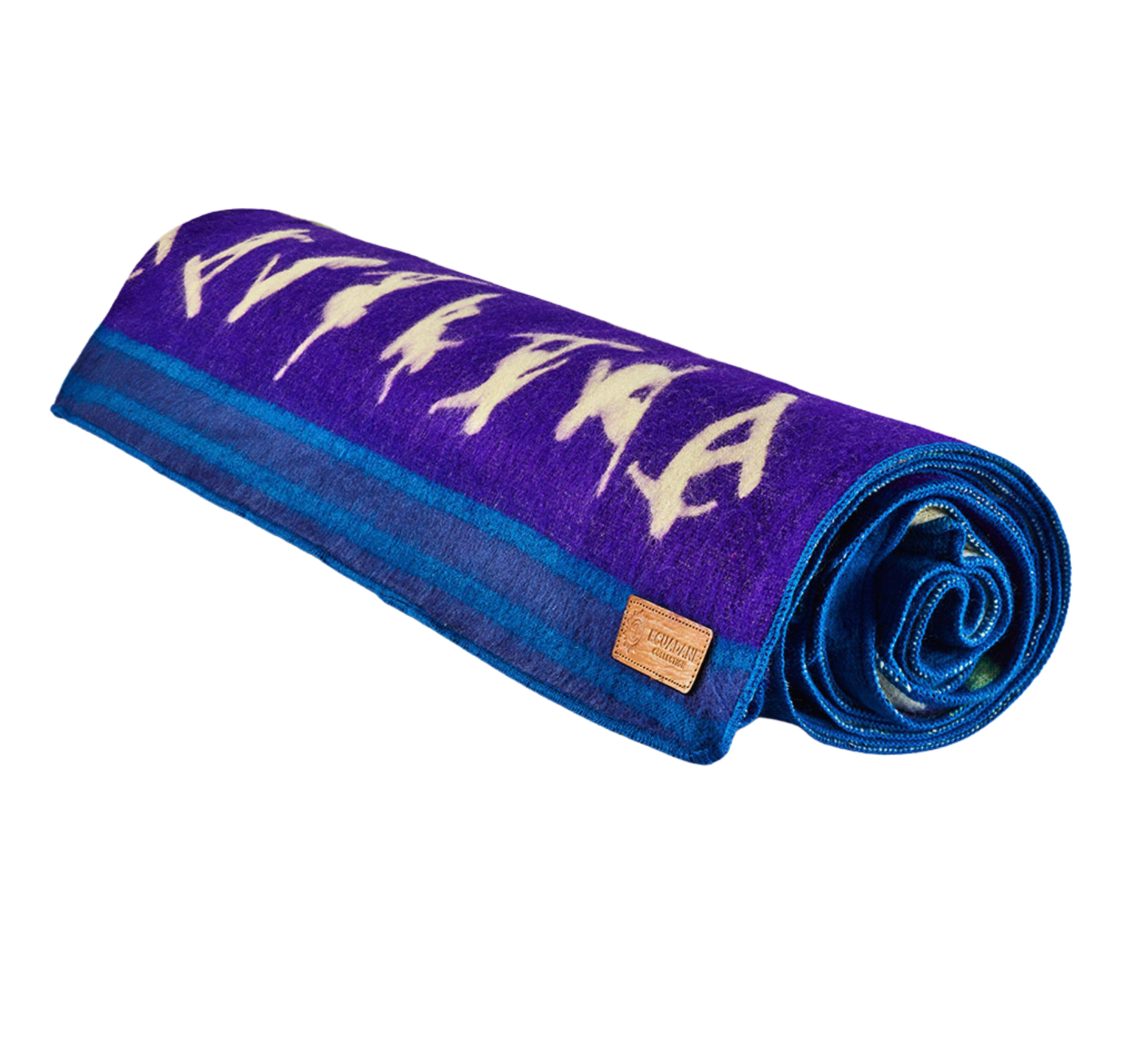 Queen-Size Winter Blanket - Shredding Snowboarder