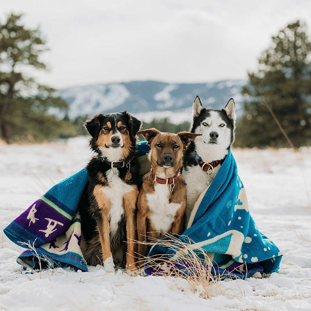 Queen-Size Winter Blanket - Shredding Snowboarder